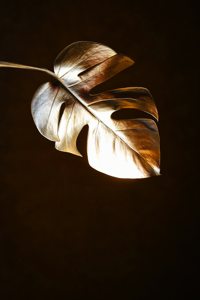 Gold leaf monstera isolated on a black background. Trendy design. Minimalism - Foto, Bild