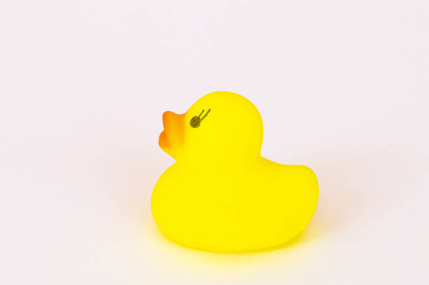 tło tekstury żółty kaczka zabawka dla dzieci bawiących się w wodzie kąpiel na białym  - Zdjęcie, obraz