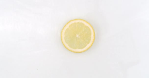 On a white background, a splash of water falls on a slice of lemon in slow motion - Filmagem, Vídeo