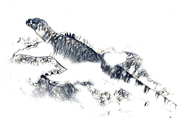 Gyík sárkány művészet rajz évjárat illusztráció - Fotó, kép