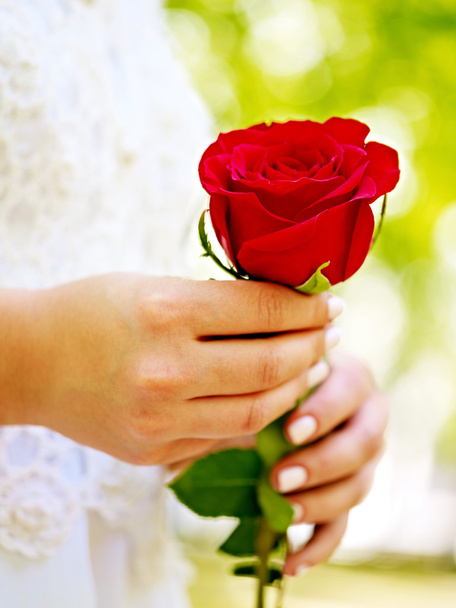 Menyasszony a rózsa csokor - Fotó, kép