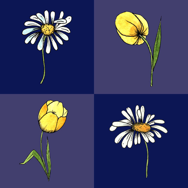 hand drawn watercolor set of daisies and yellow tulips on blue cells in different shades. - 写真・画像