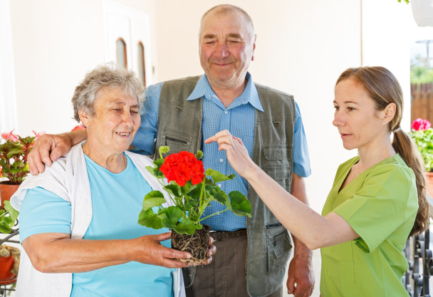 Happy elderly couple planting flower helped by young sweet caregiver - Foto, afbeelding