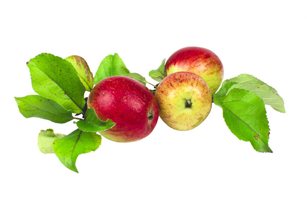 Apples with green leaves on a white background - Foto, Bild