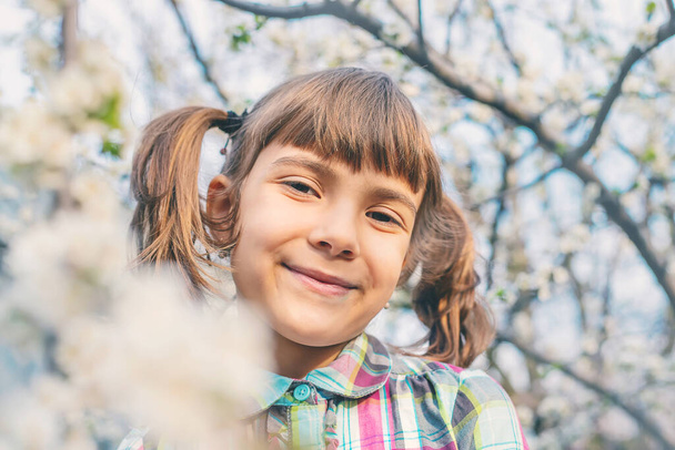 Ребенок в саду цветущих деревьев. Селективный фокус
. - Фото, изображение