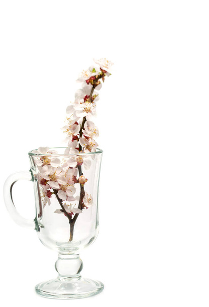 Blooming branch with flowers in a glass for mulled wine on a white background - Foto, Bild