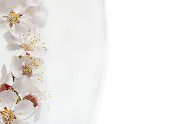 Kvetoucí větev s květinami v pivní sklenici na bílém pozadí - Fotografie, Obrázek