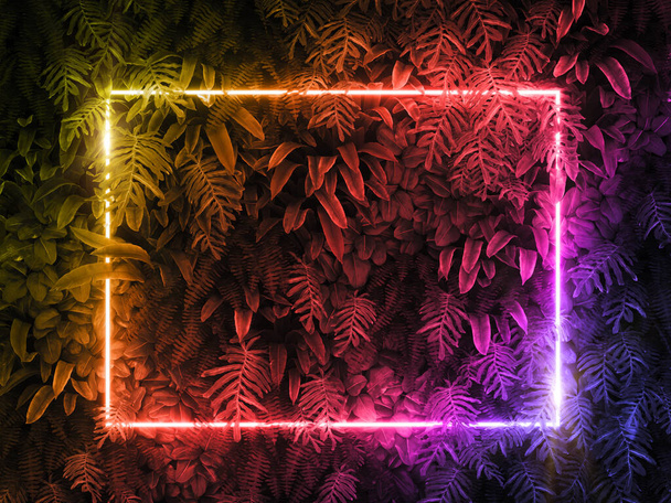 Renkli neon ışık çerçeveli bitki - Fotoğraf, Görsel