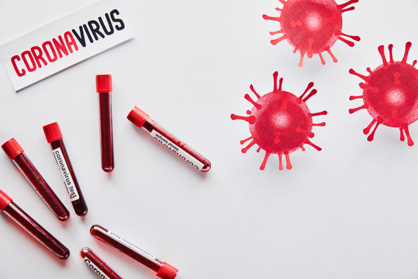 top view of test tubes with blood samples and coronavirus test near drawn virus and paper with coronavirus lettering on white  - Foto, immagini
