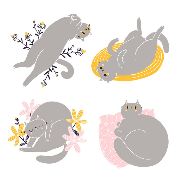 Cute british shorthair cat vector collection 2 - Vector, Image