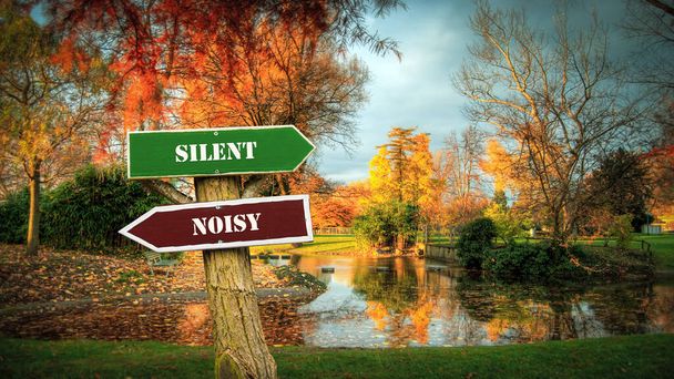 Street Sign the Direction Way to Silent versus Noisy - Photo, Image