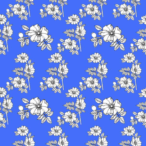 pattern rosehip branch with flowersblue background isolate object - Photo, Image