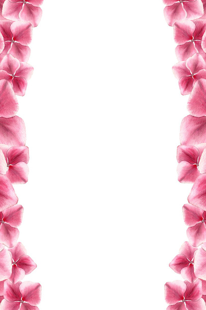 ροζ λουλούδι ορτανσία περίγραμμα, κομψό floral διακόσμηση με αντίγραφο χώρου για κείμενο, ακουαρέλα εικονογράφηση με ρεαλιστική ορτανσία floral design  - Φωτογραφία, εικόνα