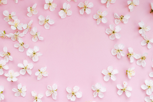 Spring layout, frame of white flowers on a pink background. card. Life style. Good build. Fashionable photo. Place for text. Flat lay - Photo, Image