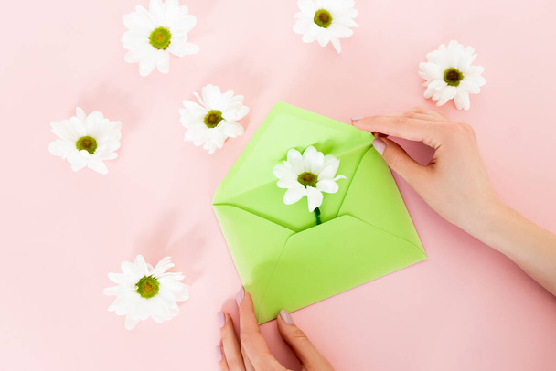 abgeschnittene Ansicht einer Frau mit grünem Umschlag in der Nähe weißer Blumen auf rosa  - Foto, Bild