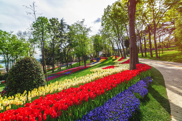 Flower beds in the tulip festival at Emirgan Park, Istanbul - Фото, зображення