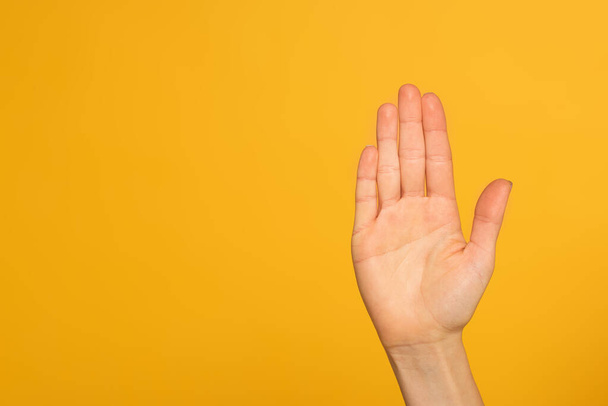 Viljelty näkymä kämmenelle naisen käsi eristetty keltainen
  - Valokuva, kuva