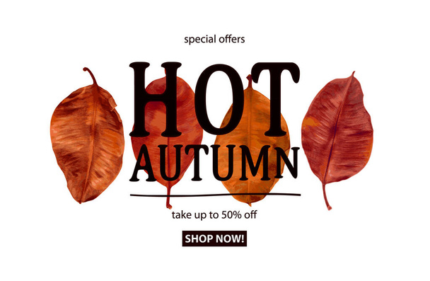 Autumn sale text vector banner with colorful seasonal fall leaves in white background for shopping discount promotion. Vector illustration. - Vector, Imagen
