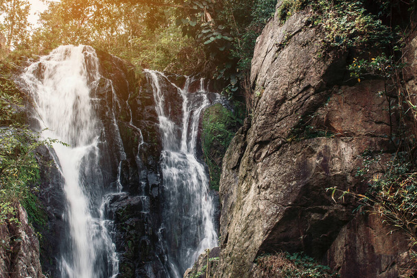м'яка вода струмка в природному парку, красивий водоспад в дощовому лісі
 - Фото, зображення
