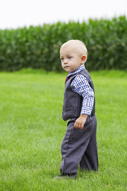 Portrait of serious little boy walking alone outside. Toddler wearing formal suit looking around the field. Little businessman ,childhood - Zdjęcie, obraz