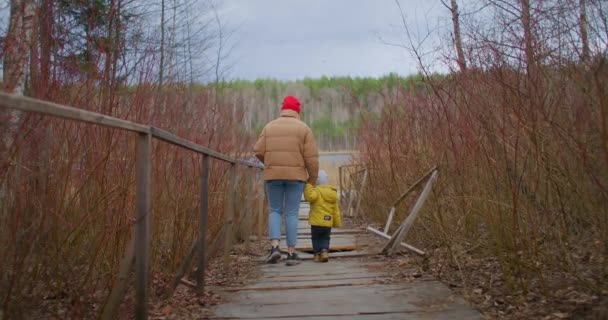 Il piccolo bambino cammina mano nella mano con sua madre in un parco al tramonto. Madre con un ragazzo andare su un ponte stradale in legno per il lago del fiume nella foresta. 2 anno vecchio ragazzo passeggiate con madre in il bosco
 - Filmati, video