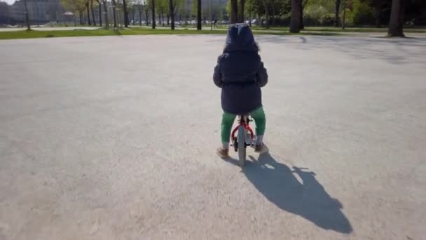 Toddler boy riding his balance bike - Felvétel, videó