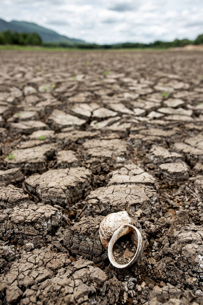 Засушливая земля без вате
 - Фото, изображение