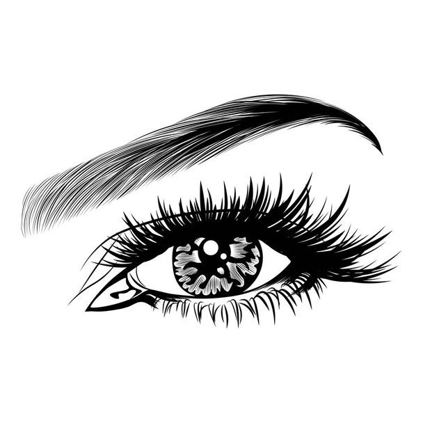 Close-up of Woman S Blue Eye with Black Long Eyelashes. Black Mascara  Cosmetic Concept Stock Illustration - Illustration of vision, eyelashes:  278241876