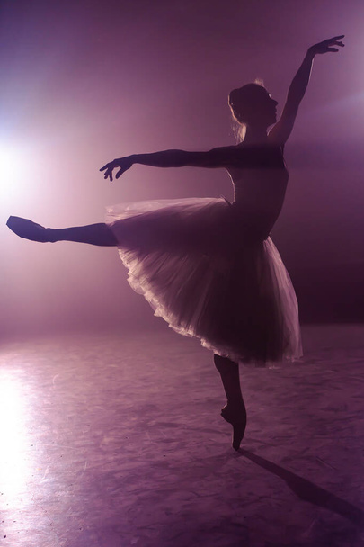 Ballet dancer in tutu performing, jumping on stage. Ballerina practices on floor in dark studio with smoke. Violet light. - Foto, immagini