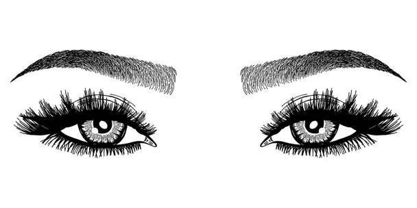 Illustration with woman's eyes, eyelashes and eyebrows. Realistic sexy makeup look. Tattoo design. Logo for brow bar or lash salon. - Vector, Image