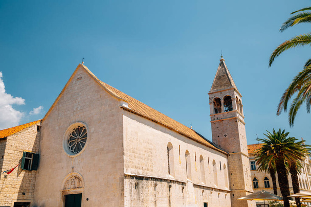 Kerk van St. Dominic met palmboom in Trogir, Kroatië - Foto, afbeelding