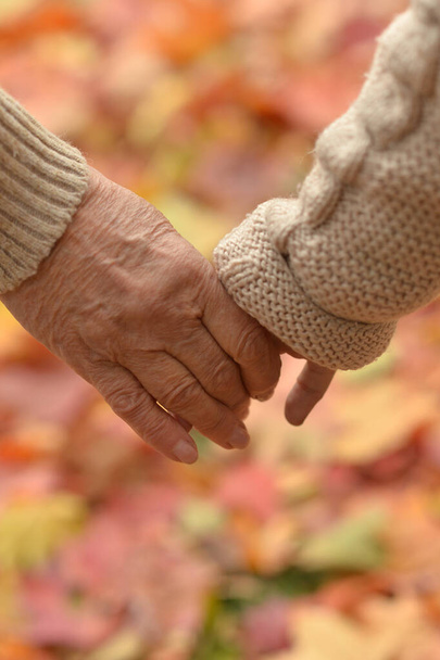 grandmother and granddaughter  holding hands, close up - Foto, immagini