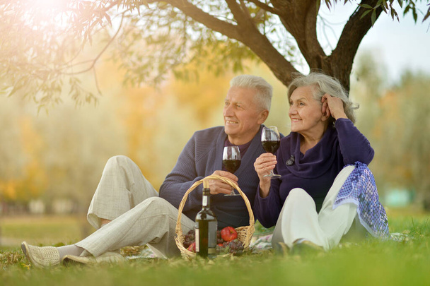 senior couple having picnic outdoors  - Фото, изображение