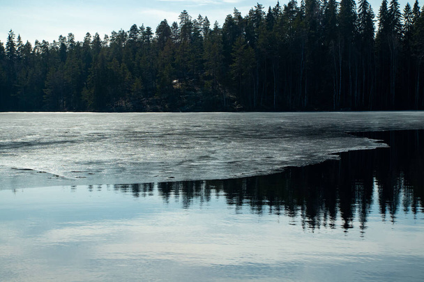 Lago helado en el parque nacional Repovesi, Finlandia
 - Foto, Imagen