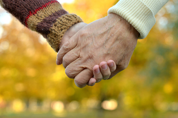 Boy and  grandfather hands together over natural background - Photo, image