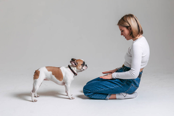 French bulldog and his mistress girl in a white jacket in the studio on a white background play - Photo, image