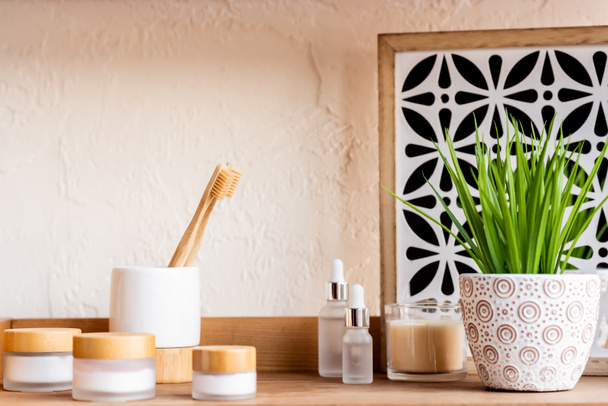 toothbrushes, containers and bottles near candle and green plant on shelf  - Photo, Image