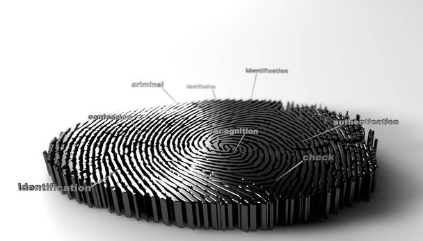 3D illusztráció fekete ujjlenyomat egy fehér háttér - Fotó, kép