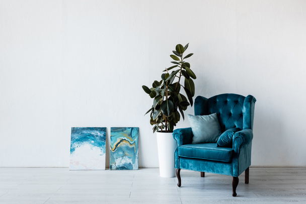 comfortable armchair near plant and paintings in living room  - Photo, Image