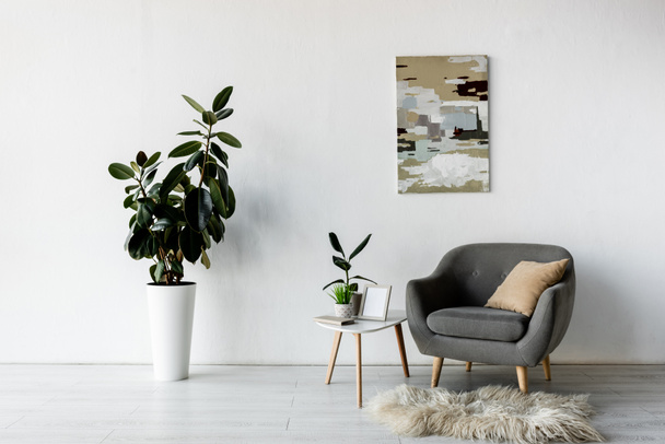 poltrona grigia vicino tavolino con piante verdi e struttura in soggiorno moderno
  - Foto, immagini