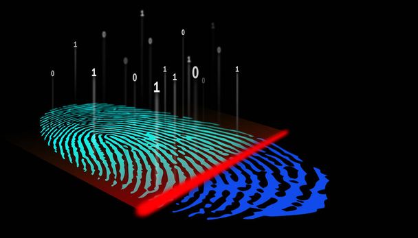fingerprint during scanning in detail - Photo, Image