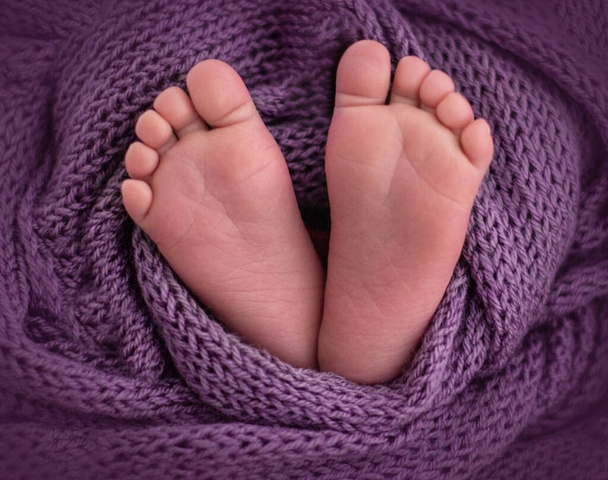 petites pattes de nouveau-né en manteau violet
 - Photo, image