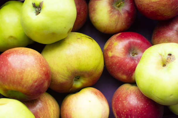 Red-green organic apples - Fotoğraf, Görsel