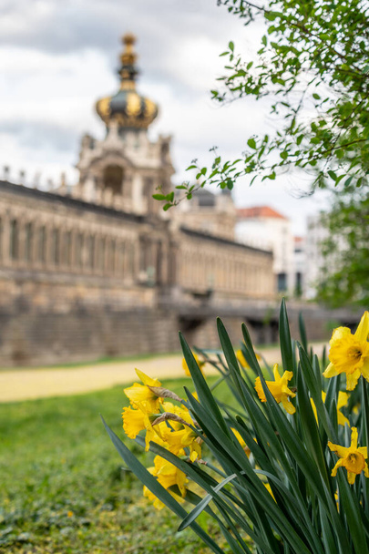 Dresden Zwinger, spring, saxony, germany - Foto, afbeelding