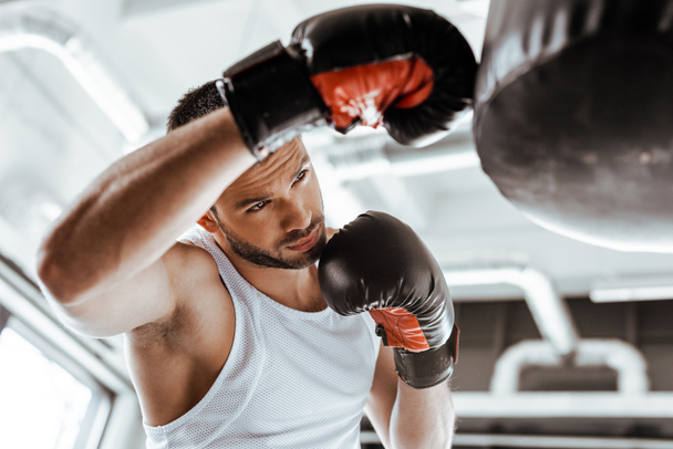 enfoque selectivo del deportista guapo en el entrenamiento de guantes de boxeo con saco de boxeo
   - Foto, Imagen