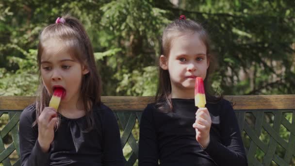 dos hermanas están comiendo helado en el bosque de primavera
 - Metraje, vídeo