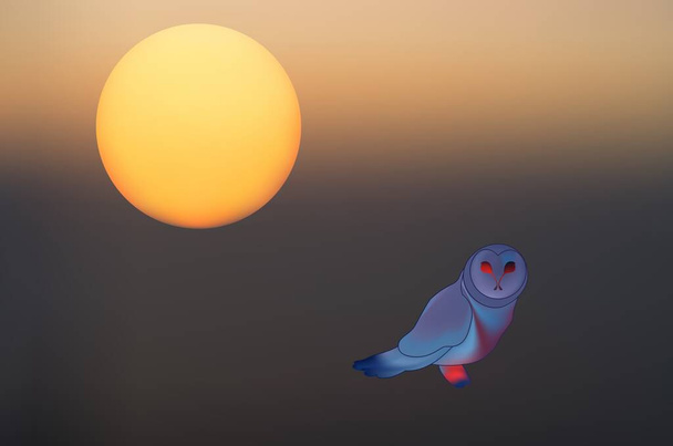 Abstract mystical background with unusual animals at sunset. Fantastic images and symbols in painting for backgrounds and screensavers. Owl - Vector, Image