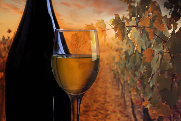 Прекрасний захід сонця над виноградниками зі склянкою вина
.  - Фото, зображення