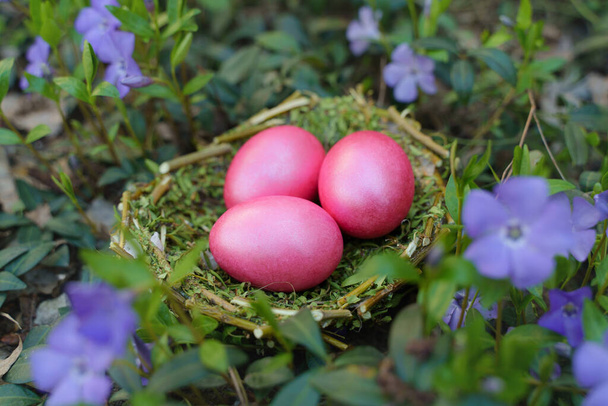 huevos de colores para la Pascua. hermosos huevos en la hierba
 - Foto, imagen
