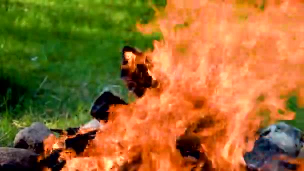 D'énormes flammes de feu de joie brûlant dans la nature pendant la soirée d'été calme et vermifuge
 - Séquence, vidéo